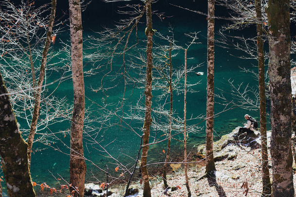 A person sitting on the shore of a beautiful tranquil lake in a forest - Photo, Image