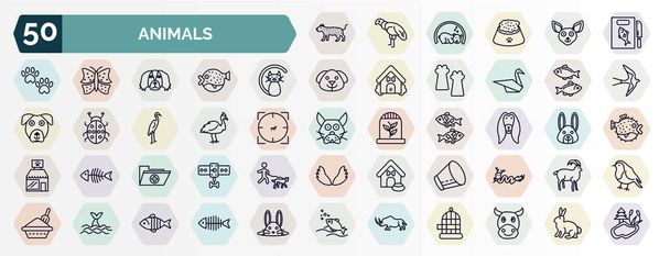 set of animals web icons in outline style. thin line icons such as leopard, fish and knife, black cat, two golden carps, cassowary, afghan hound, medic folder, elizabethan collar, whale zone, - Vecteur, image