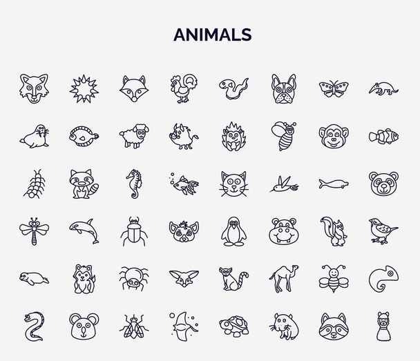 conjunto de animales iconos web en el estilo de contorno. iconos de línea delgada como lobo, polla, morsa, caballito de mar, pingüino, husky siberiano, zorro fennec, abeja, manta ray icono. - Vector, Imagen