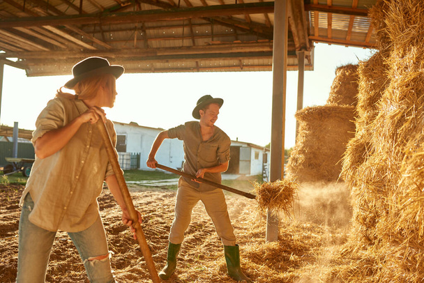 Woman looking at her boyfriend collecting hay in bale with pitchfork in barn on farm. Young caucasian couple. Modern hipster countryside family lifestyle. Agriculture and farming. Sunny day - Photo, image