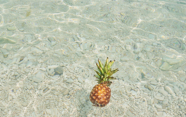 Exotic Pineapple fruit symbol of summer floating in blue tropical ocean water healthy organic diet food. - Фото, изображение