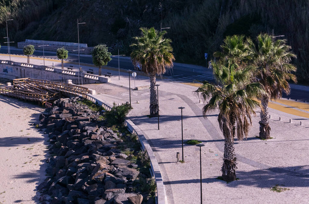 Embankment with palm trees and the beach of the Portuguese city of Sines - Фото, изображение