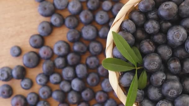 Mirtilo e folhas verdes em um cesto de fundo rotativo. Fresco e maduro orgânico Blueberries Rote pano de fundo. Dieta, Vegan comida vegan saudável. - Filmagem, Vídeo