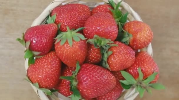 Beaucoup de fraises biologiques dans un panier l filature. Production d'aliments biologiques sains concept d'éco-fermes. Vue rapprochée - Séquence, vidéo