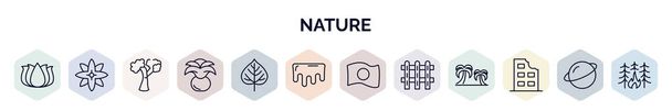set of nature web icons in outline style. thin line icons such as beautiful lotus flower, petals, american beech tree, agave, quaking aspen tree, melting, japanese, picket fence, ruins icon. - Vector, Image