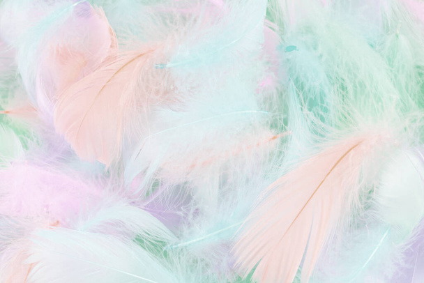 Colorful feather on mint background, top view.  - Foto, afbeelding