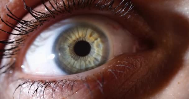 Vrouwelijk oog met grijsgroene iris close-up. Oogziekten en laser visie correctie concept - Video