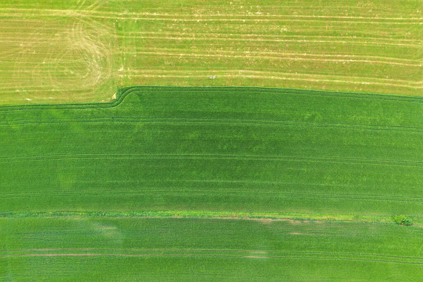 Aerial view of agricultural fields. Natural grass texture - Φωτογραφία, εικόνα