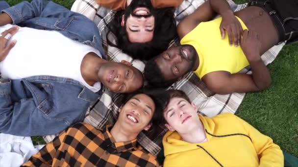 Groep van multiraciale mannelijke vrienden liggend op park weide glimlachen op camera - Gelukkig lgbt diverse mensen concept - Video