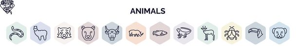 set van dieren web iconen in omtrek stijl. dunne lijn pictogrammen zoals koperen kop, alpaca, rode panda, cheeta, stier, neushoorn, grote vis, leguaan, grote bug pictogram. - Vector, afbeelding