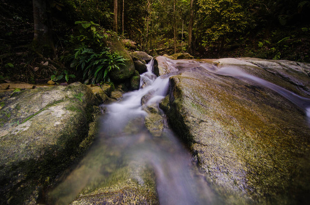 beautiful waterfall in the forest - Fotoğraf, Görsel