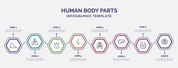 infografikai sablon ikonokkal és 8 opcióval vagy lépéssel. infografika az emberi testrészek koncepciójához. beleértve az emberi láb, női csípő és derék, e side view, tüdő a légcső, emberi máj, - Vektor, kép
