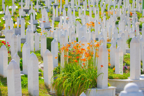 Bosna Savaşı mağdurlarına adanmış Müslüman mezarlığı, Saraybosna ve Bosna-Hersek 'te. - Fotoğraf, Görsel