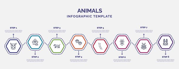 informační šablona s ikonami a 8 možnostmi nebo kroky. infographic pro zvířata koncept. zahrnovaly krávy, leoparda, otisk tlapky, pěšáky, mravence, berušku, roztomilé ikony králičí hlavy. - Vektor, obrázek