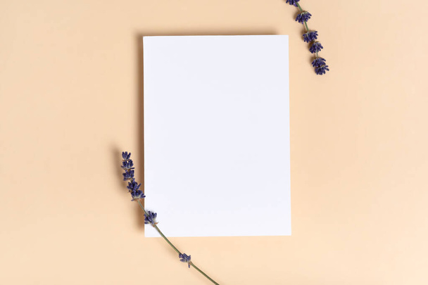 Skutečná fotka. Čtvercový pozvánka bílá pohlednice maketa s květinovou levandulovou větví. Horní pohled s kopírovacím prostorem, pastelové světle žluté béžové pozadí. Šablona pro značkování a reklamu - Fotografie, Obrázek