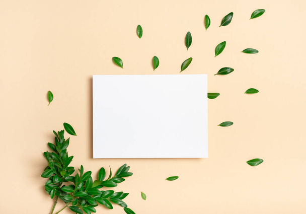 Echtes Foto. Quadratische Einladung weiße Grußkarten-Attrappe mit einem Buchsbaumzweig. Draufsicht mit Kopierraum, pastellgelb-beige Hintergrund. Vorlage für Branding und Werbung - Foto, Bild