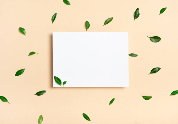 Echtes Foto. Quadratische Einladung weiße Grußkarten-Attrappe mit einem Buchsbaumzweig. Draufsicht mit Kopierraum, pastellgelb-beige Hintergrund. Vorlage für Branding und Werbung - Foto, Bild