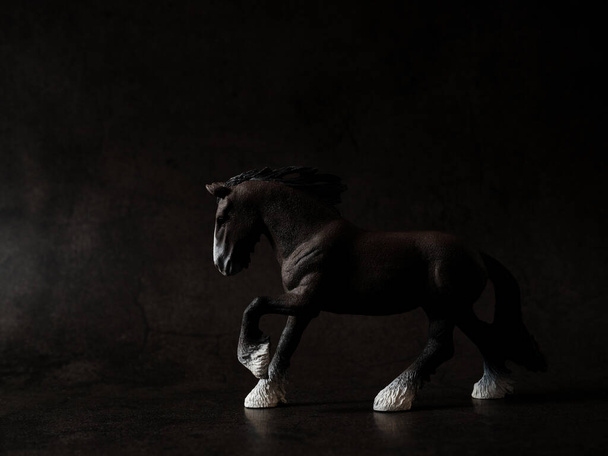 黒い背景の馬の姿 - 写真・画像