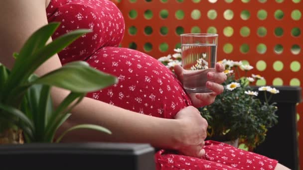 Çiçeklerle çevrili bir verandada bahçede oturan hamile bir kadın. Bardak tutan, su içen, karnına dokunan kimliği belirsiz hamile bir kadın. Sağlıklı annelik kavramı. - Video, Çekim