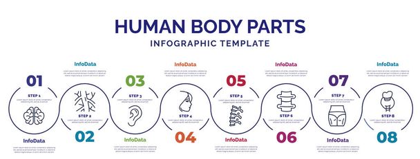 infographic template met pictogrammen en 8 opties of stappen. infographic voor menselijk lichaamsdelen concept. opgenomen hersenen bovenaanzicht, oorlel zijaanzicht, gezicht van een vrouw, menselijke wervelkolom, wervelkolom bot, cellulitis, - Vector, afbeelding
