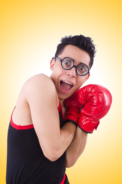 Boxer engraçado em luvas vermelhas
 - Foto, Imagem