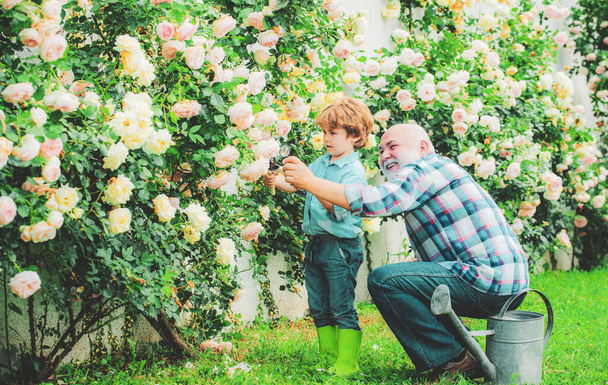 Grandfather and grandson. Old and Young. Concept of a retirement age. Bearded Senior gardener in an urban garden. Father and son - Photo, Image