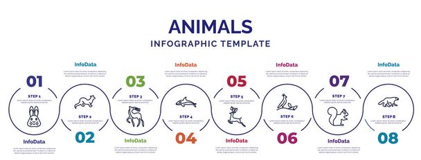 informační šablona s ikonami a 8 možnostmi nebo kroky. infographic pro zvířata koncept. zahrnuto zajíc, gazela, orca, jikry, nymphicus hollandicus, chipmunk, wolverine ikony. - Vektor, obrázek