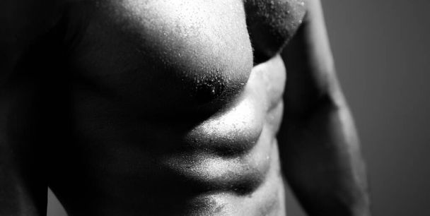 Mans torso. Handsome muscular man with six pack abs - Fotoğraf, Görsel