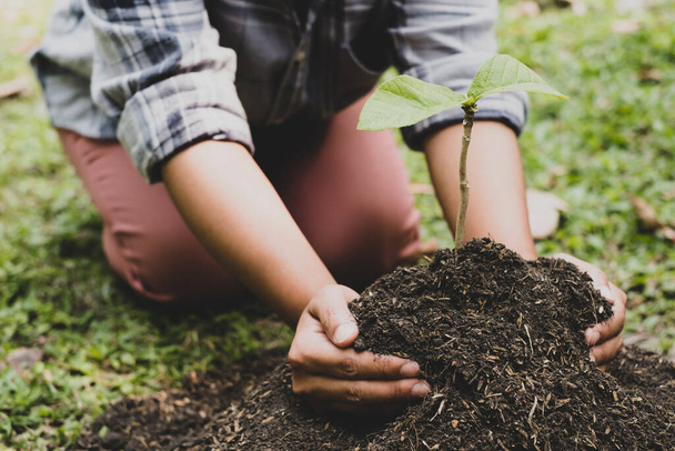 Τα χέρια της νεαρής γυναίκας φυτεύουν νεαρά σπορόφυτα σε γόνιμο έδαφος, φροντίζοντας για την καλλιέργεια φυτών. Παγκόσμια ημέρα περιβάλλοντος έννοια, προστασία της φύσης. - Φωτογραφία, εικόνα