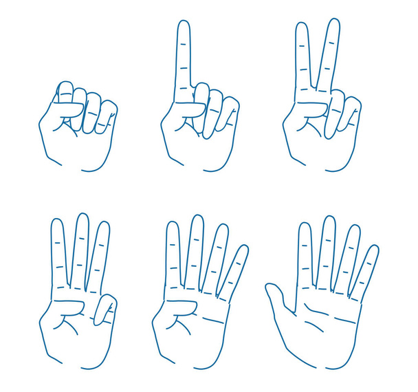 Set von 6 Handabbildungen Linienzeichnung - Vektor, Bild