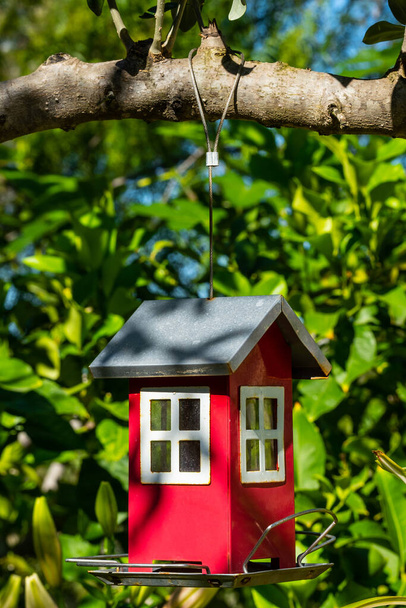 庭の木の枝に家の形で鳥のフィーダー。鳥の世話 - 写真・画像