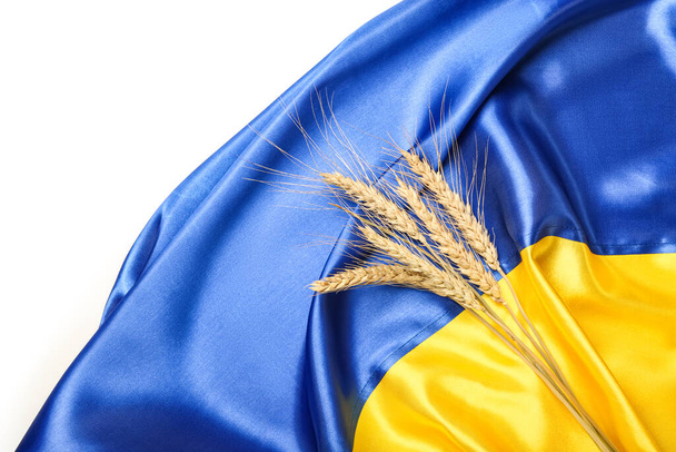 Búza tüske ukrán zászló fehér háttér - Fotó, kép