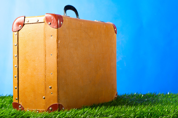 Suitcase on grass - Zdjęcie, obraz