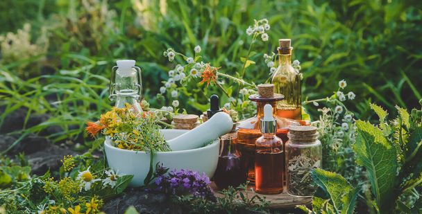Medicinal herbs and tinctures alternative medicine. Selective focus. Nature. - Foto, Bild