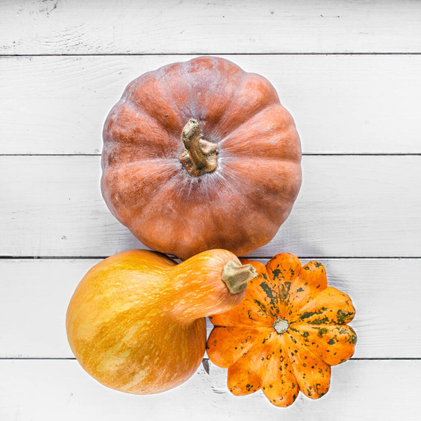pumpkins and orange squash on white colored wooden table, top view, free space for text - Фото, изображение