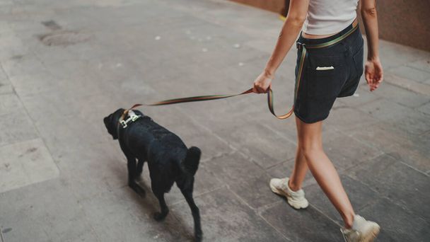 Girl walks down the city street with her pet.  - Foto, afbeelding