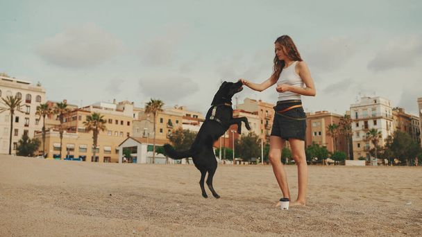 Lunch time. cute girl is sitting on the sand on the beach with her pet testing sandwich. The girl treats her dog with sandwich. Lunch on the beach on modern city background - 写真・画像