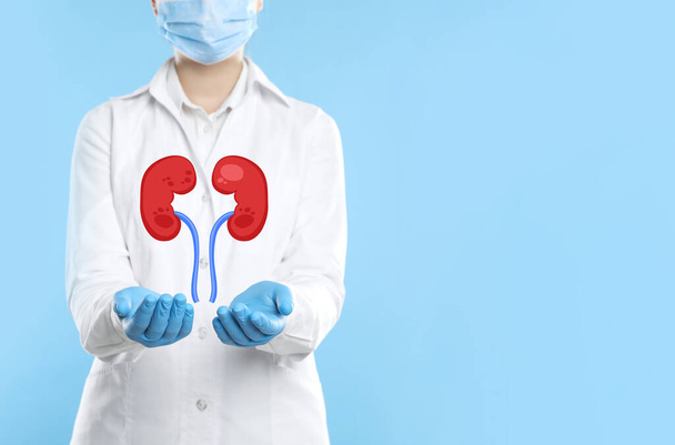 Closeup view of doctor and illustration of kidneys on light blue background. Space for text - Fotoğraf, Görsel
