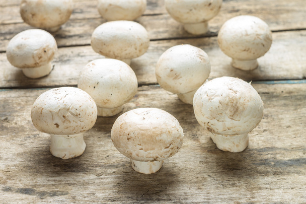 Fresh mushrooms growing on wooden board - Zdjęcie, obraz