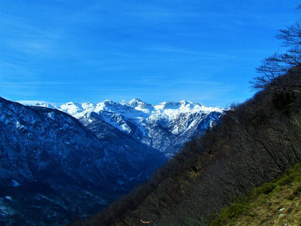 Vistas panorámicas de invierno de las montañas cubiertas de nieve Mahavscek y Tolminski Kuk que se elevan por encima del valle de Bohinj tomadas de Vogar en el parque nacional de Triglav y los Alpes Julianos, Gorenjska Eslovenia - Foto, Imagen