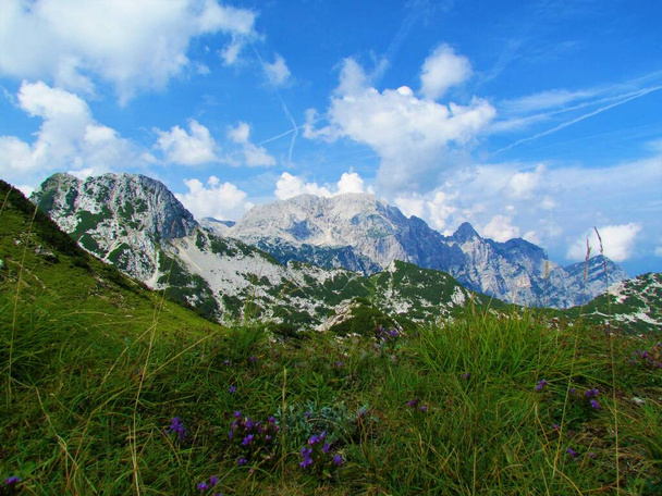 Vista de la montaña Rjavina y Mali Draski Vrh en el parque nacional de Triglav y los Alpes Julianos en la región de Gorenjska de Eslovenia - Foto, Imagen