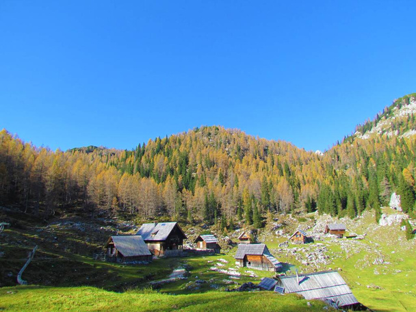 Vista de los pastos alpinos de Dedno Polje con cabañas de shepard tradicionales en el parque nacional de Triglav y los Alpes Julianos en la región de Gorenjska de Eslovenia - Foto, Imagen