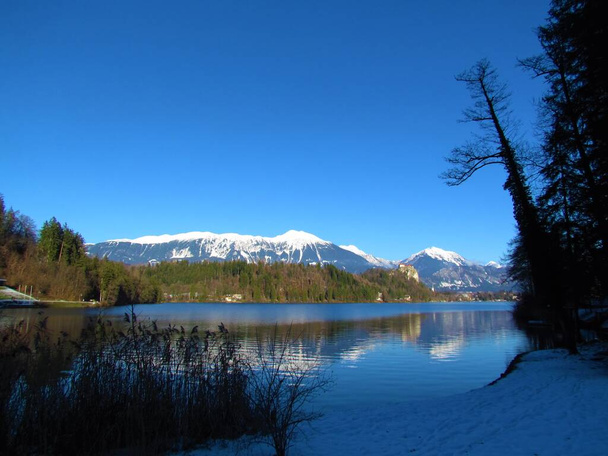 Widok na jezioro Bled z lasem pokryte wzgórze w plecy i pokryty śniegiem szczyt Karavanke gór ze Stol w środku w regionie Gorenjska Słowenii - Zdjęcie, obraz