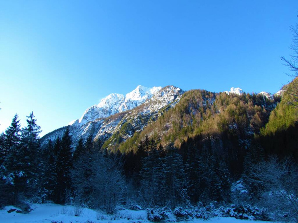 Vista del pico cubierto de nieve de Visoka Ponca iluminado por la luz del sol sobre el valle de Tamar en los Alpes Julianos en la región de Gorenjska de Eslovenia con bosques que cubren las laderas a continuación - Foto, imagen