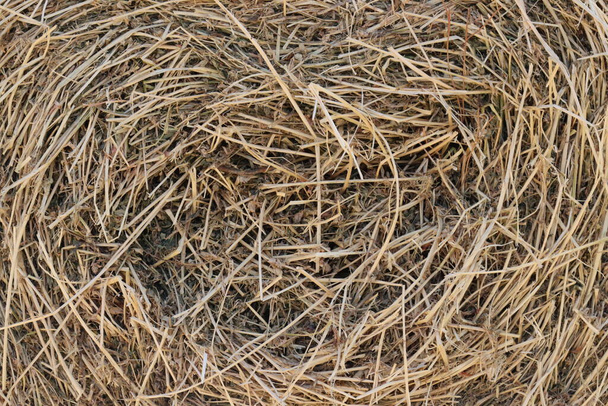рулон завязанных и высушенных тюков сена - Фото, изображение
