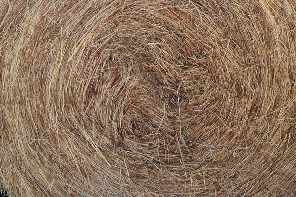 roll of tied and dried hay bales - Photo, Image