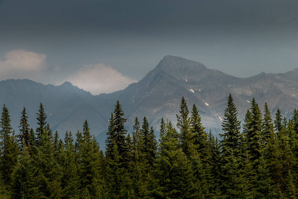 Όρος Χάρκιν και φωτιά δάσος καπνού ομίχλη Kootenay Εθνικό Πάρκο Βρετανική Κολούμπια Καναδά - Φωτογραφία, εικόνα