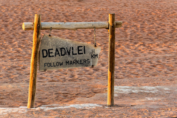 ナミブ砂漠に隠された Vlei への道標  - 写真・画像