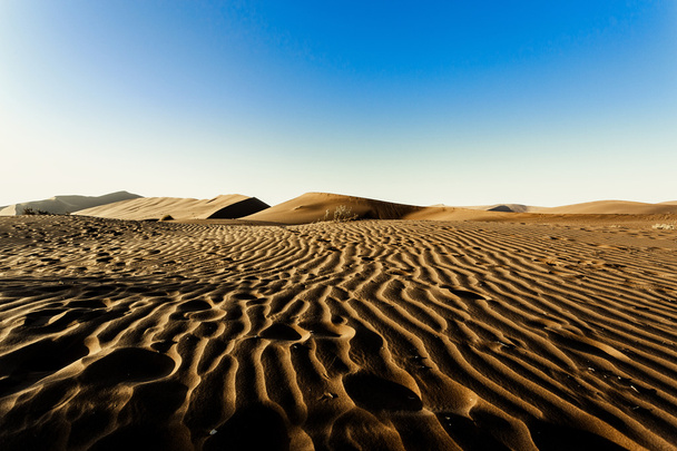 ナミブ砂漠に隠された Vlei の美しい風景  - 写真・画像