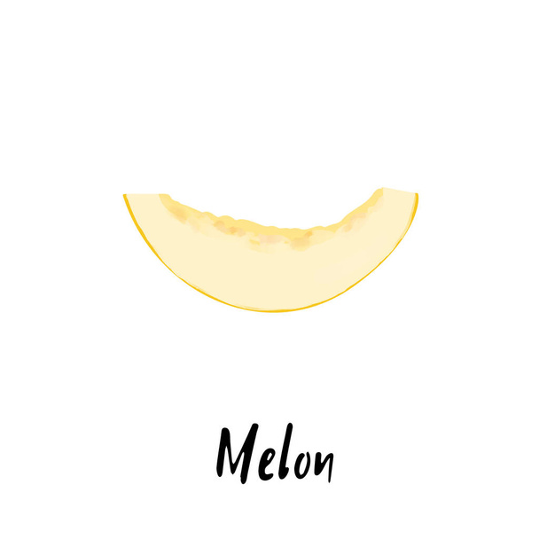 Illustration einer Melone isoliert auf weißem Hintergrund. - Vektor, Bild